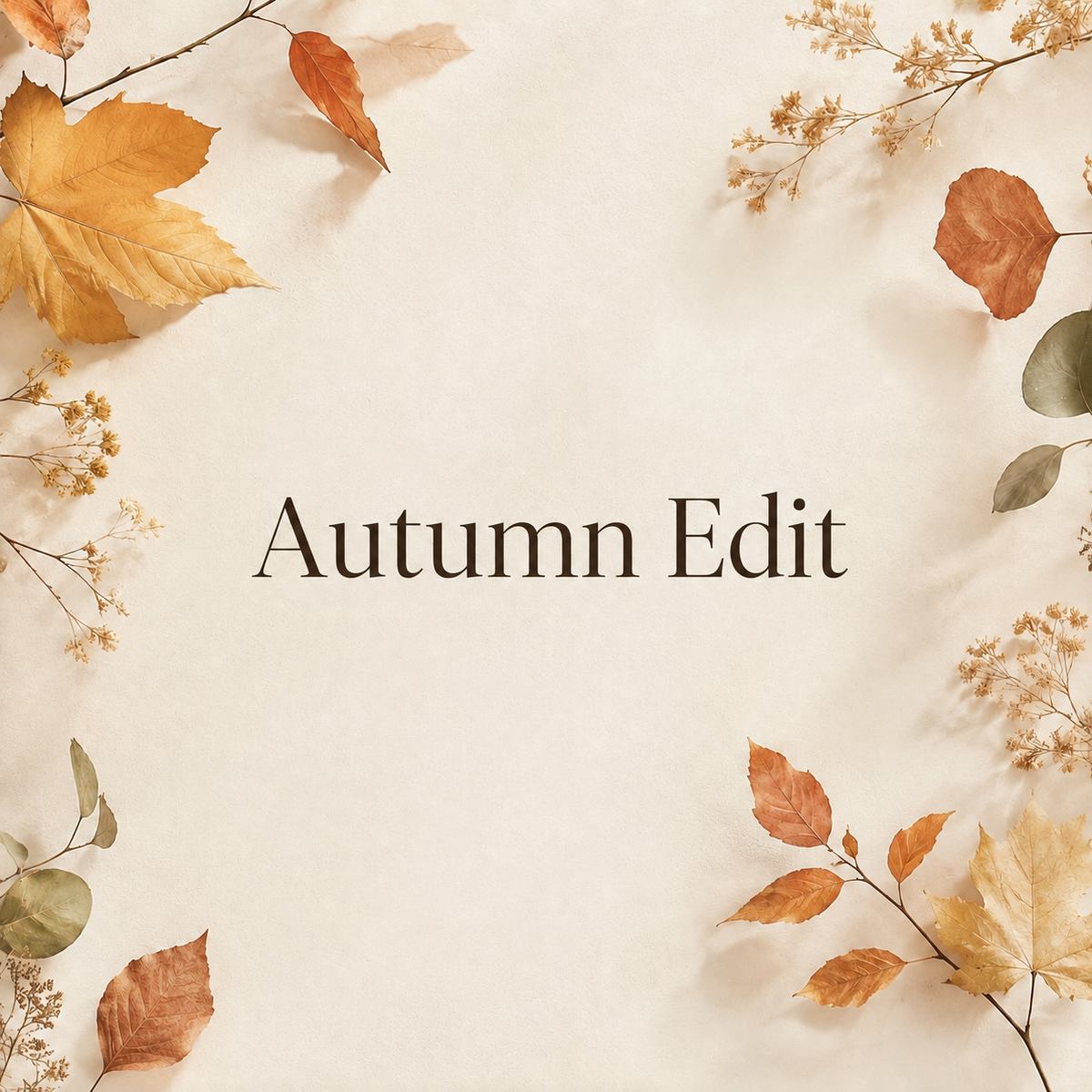 Autumn Edit🍂