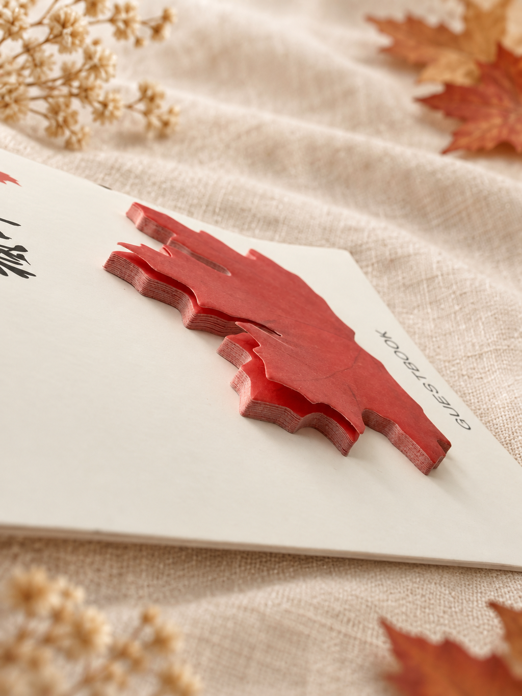 🍁Autumn Maple Leaf Message Cards