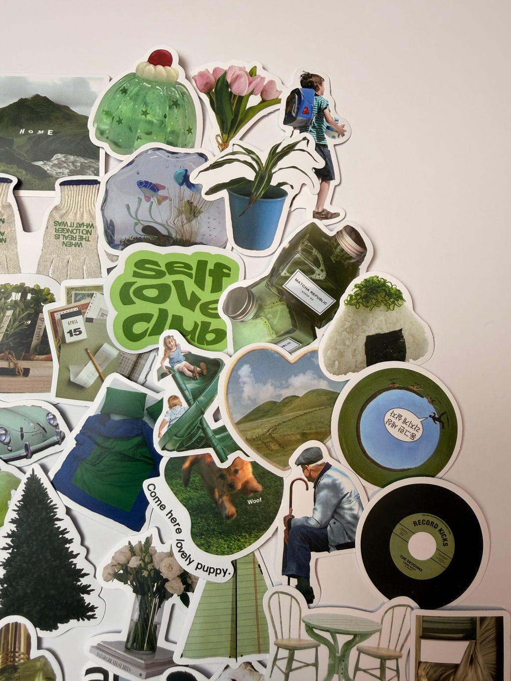 Sage Daydreams Sticker Pack. 62pcs🌿