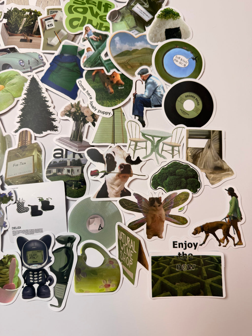 Sage Daydreams Sticker Pack. 62pcs🌿